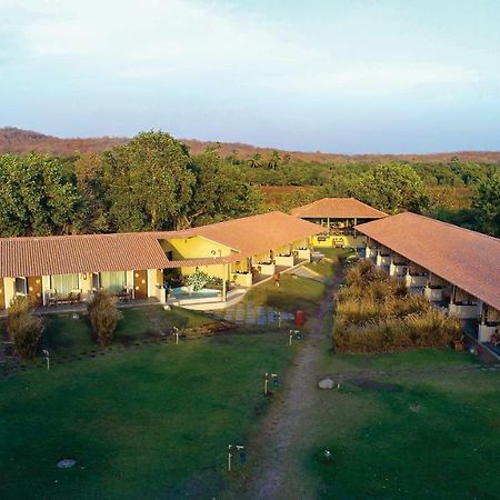 Asiatic Lion Lodge Sasan Gir Exterior foto