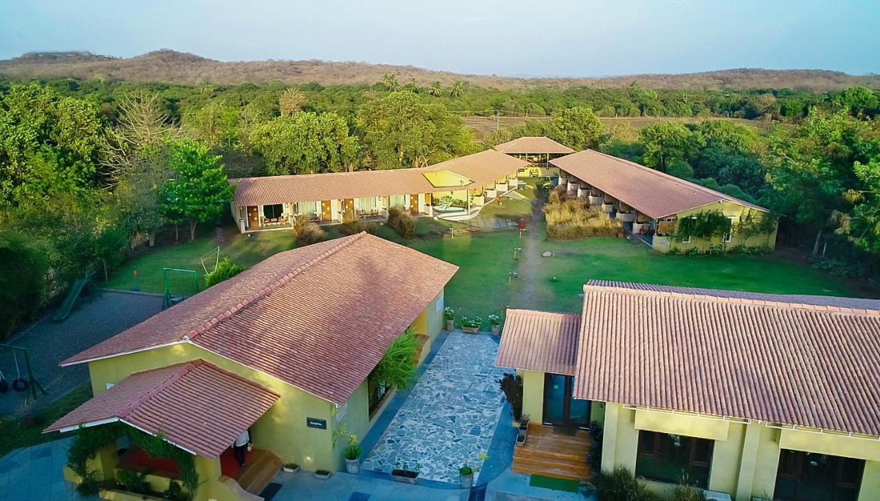 Asiatic Lion Lodge Sasan Gir Exterior foto