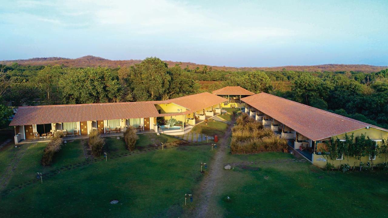 Asiatic Lion Lodge Sasan Gir Exterior foto